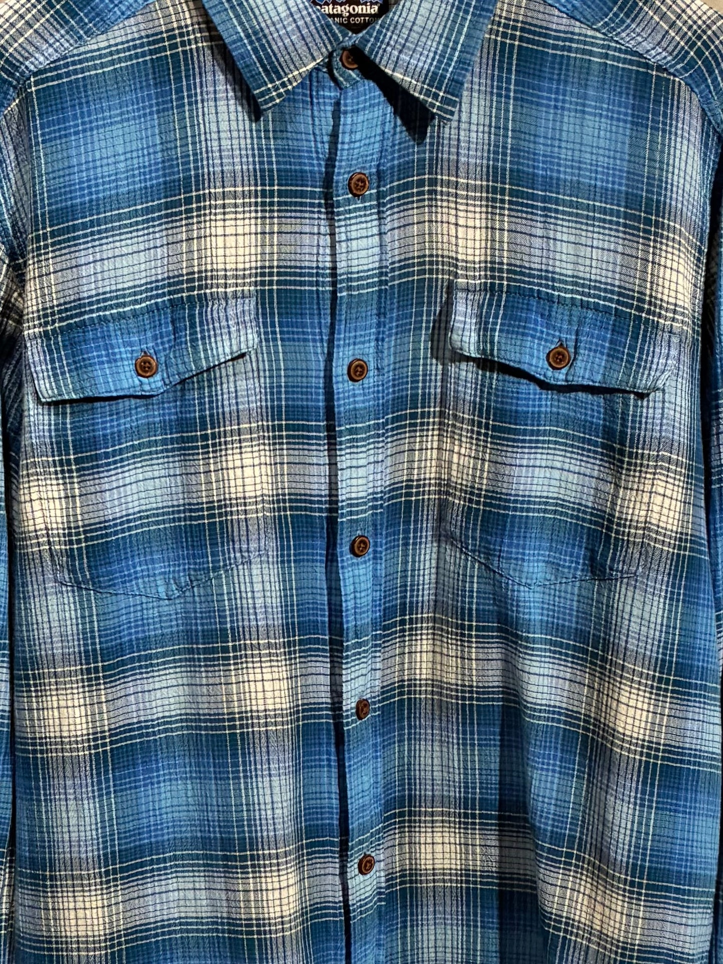 00's patagonia shirt
